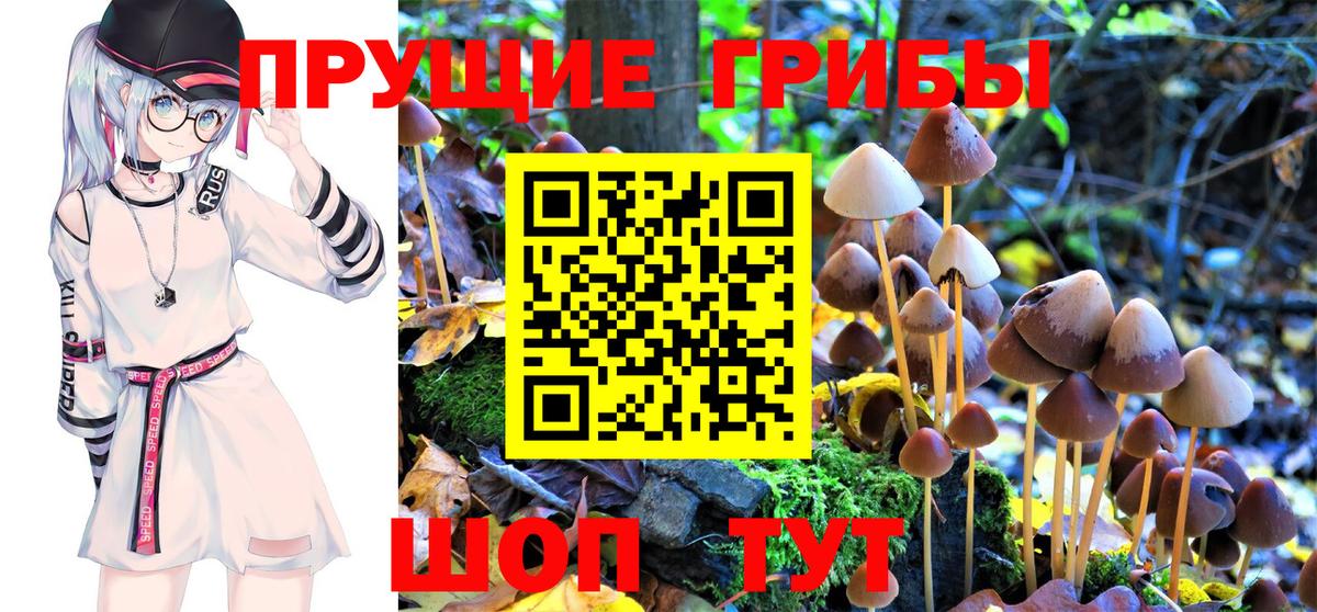 Галлюциногенные грибы MAGIC MUSHROOMS  Вход с VPN  Красноперекопск  Псилоцибиновые грибы прущие грибы 